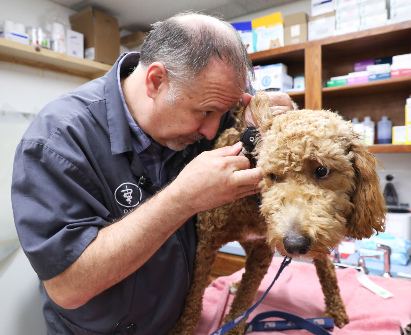 Vet Clinics